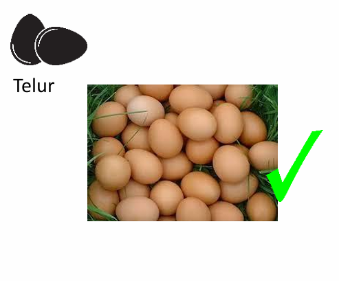 <p>telur yang berkualitas dan layak dijadikan bahan MBG adalah ? kecuali.</p> -  BADAN GIZI NASIONAL